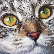 Схема вышивки «котейка»