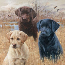 Схема вышивки «Щенки»