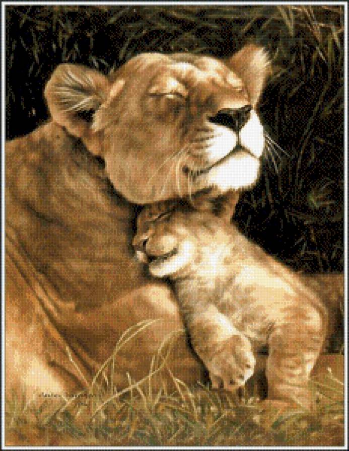 львы - животные. львы - предпросмотр