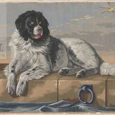 Схема вышивки «собака»