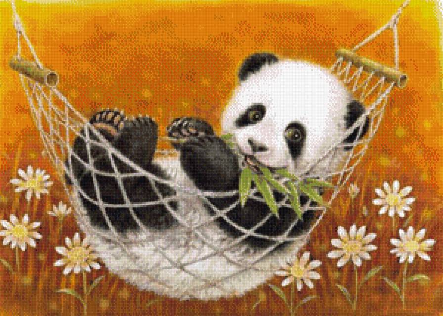 панда - животные. панда - предпросмотр