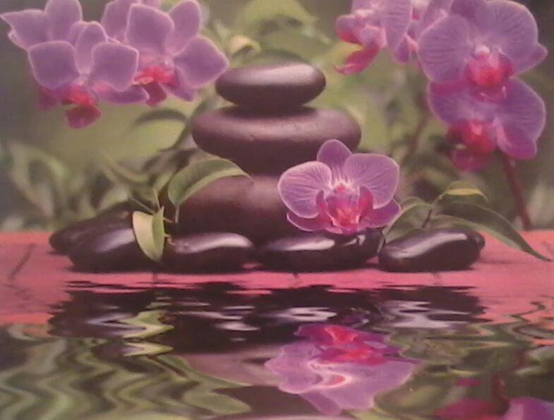 орхидеи - орхидеи - оригинал