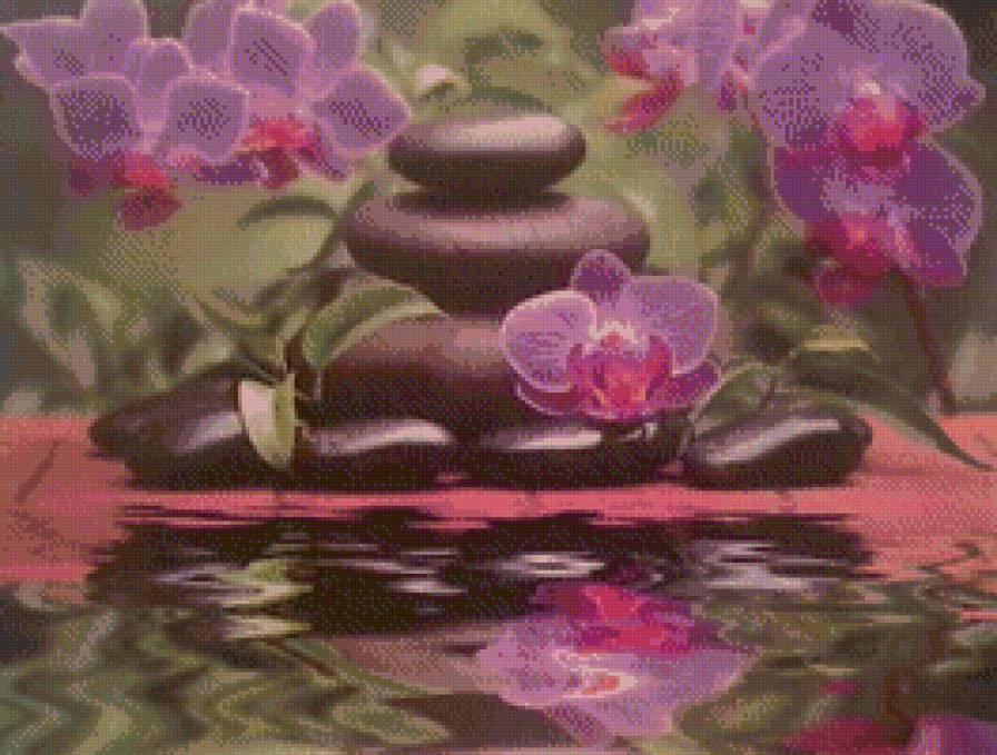 орхидеи - орхидеи - предпросмотр