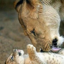 Схема вышивки «6»