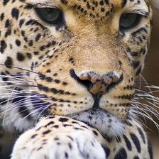 Схема вышивки «9»