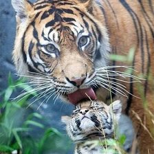 Схема вышивки «11»