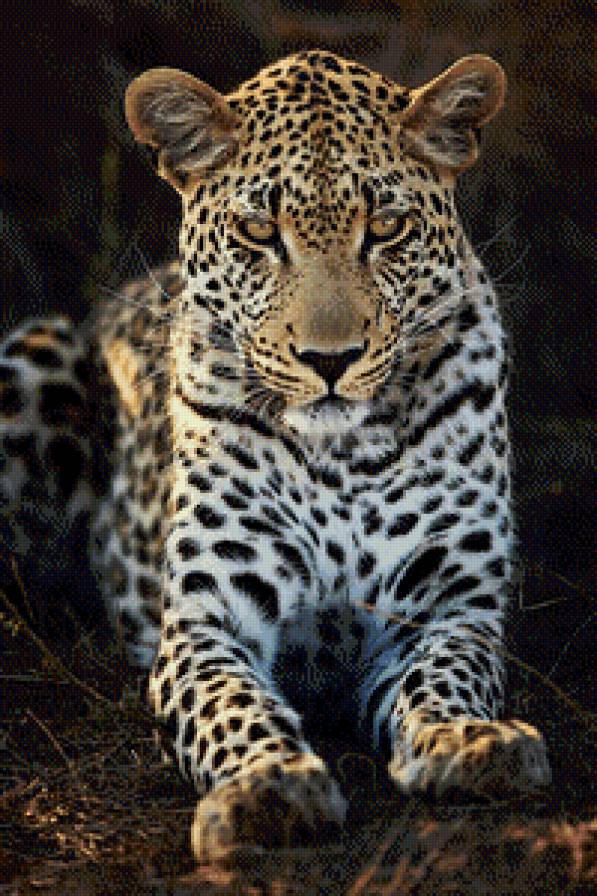 13 - фауна - предпросмотр