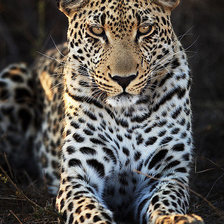 Схема вышивки «13»