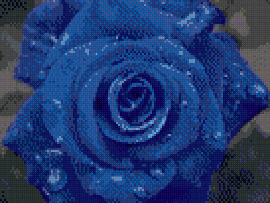 Синяя Роза - предпросмотр