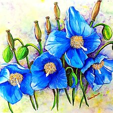 Схема вышивки «яркие цветы»