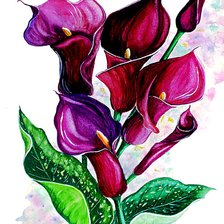 Схема вышивки «пурпурные каллы»