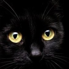 Схема вышивки «6»