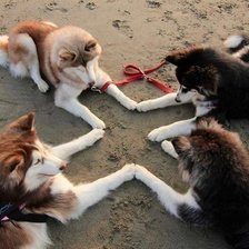 Схема вышивки «9»