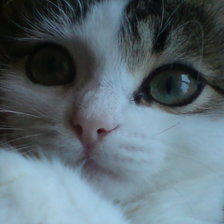 Схема вышивки «ириска»