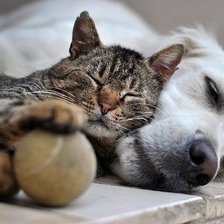 Схема вышивки «13»