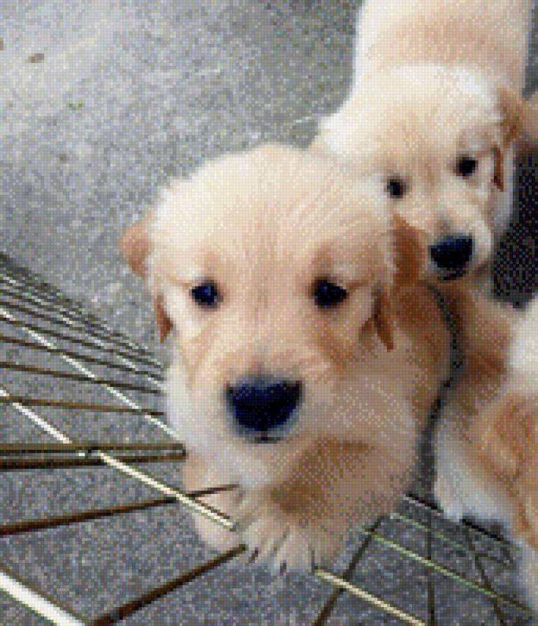 20 - предпросмотр