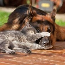 Схема вышивки «21»