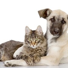 Схема вышивки «23»