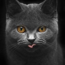 Схема вышивки «26»