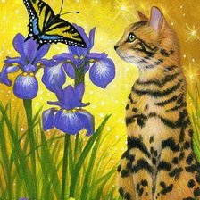 Схема вышивки «котик»