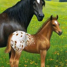 Схема вышивки «лошадки»