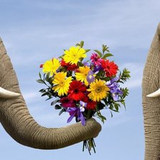 Схема вышивки «букет для любимой»