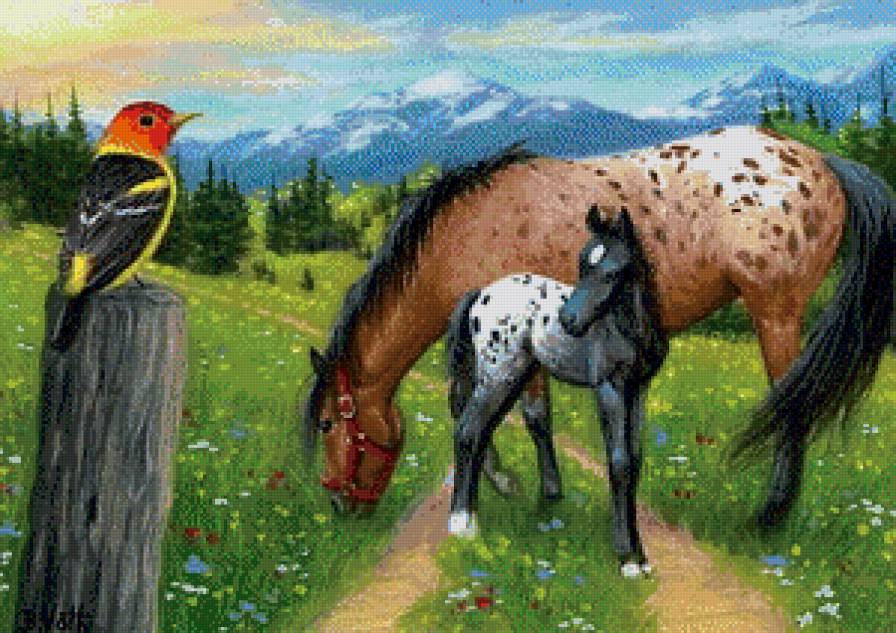 лошадки - лошадь, лошади, лошадка, кони, животные.жеребенок - предпросмотр