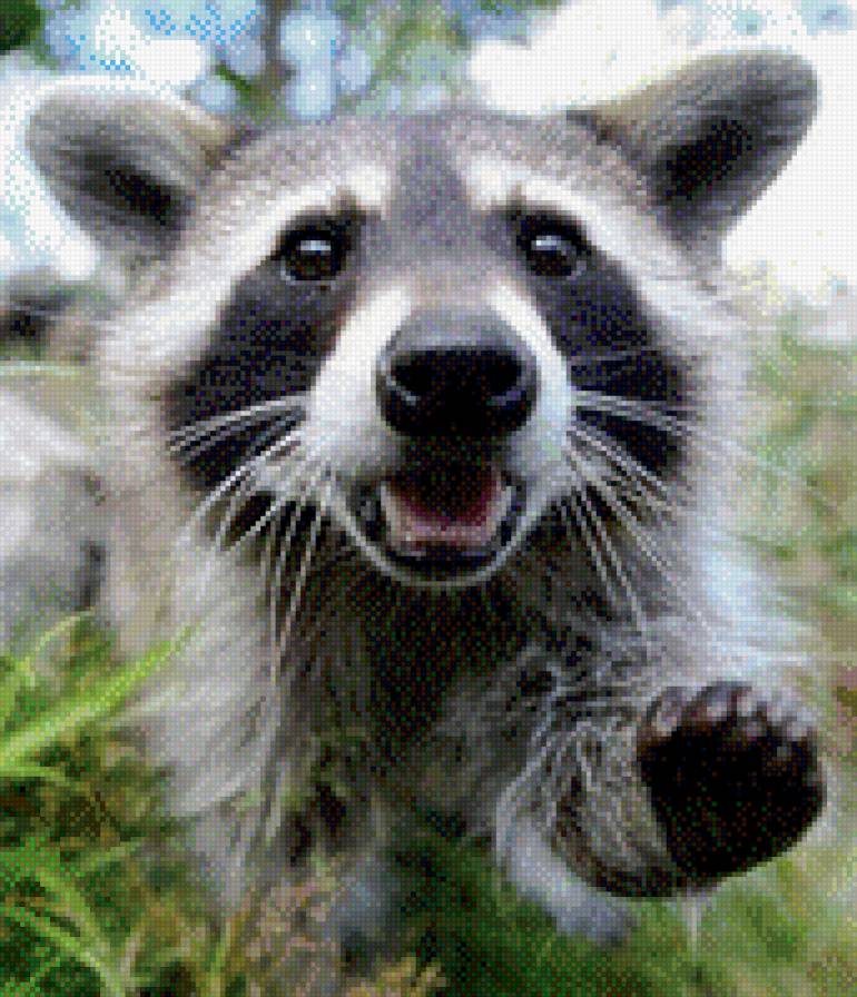 37 - предпросмотр