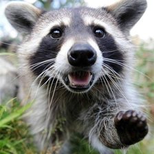 Схема вышивки «37»