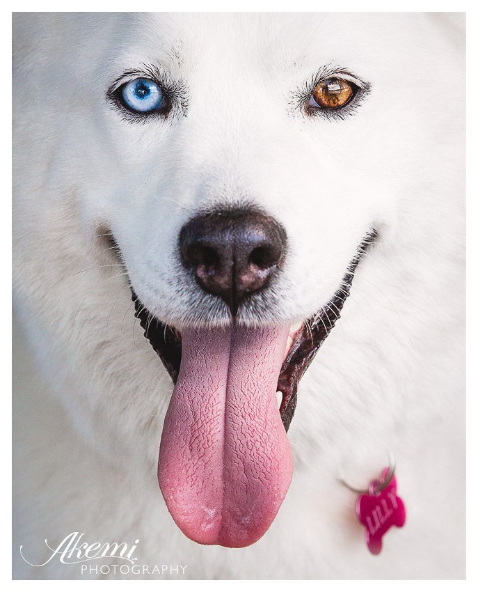 46 - оригинал