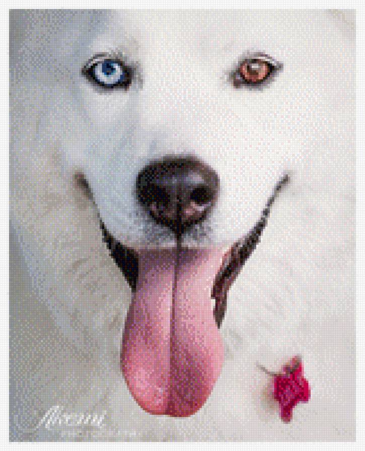 46 - предпросмотр