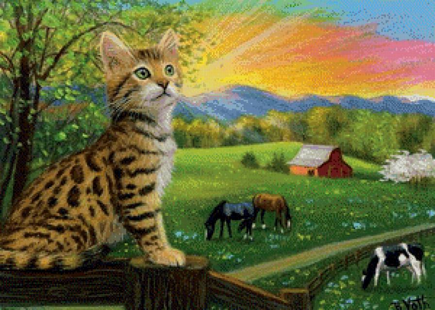 рассвет - животные, ферма, природа, котик, котенок, кот, кошки, лошади, кошка - предпросмотр