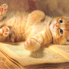 Схема вышивки «Серия "Домашние любимцы"»