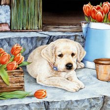 Схема вышивки «щенок на крыльце»