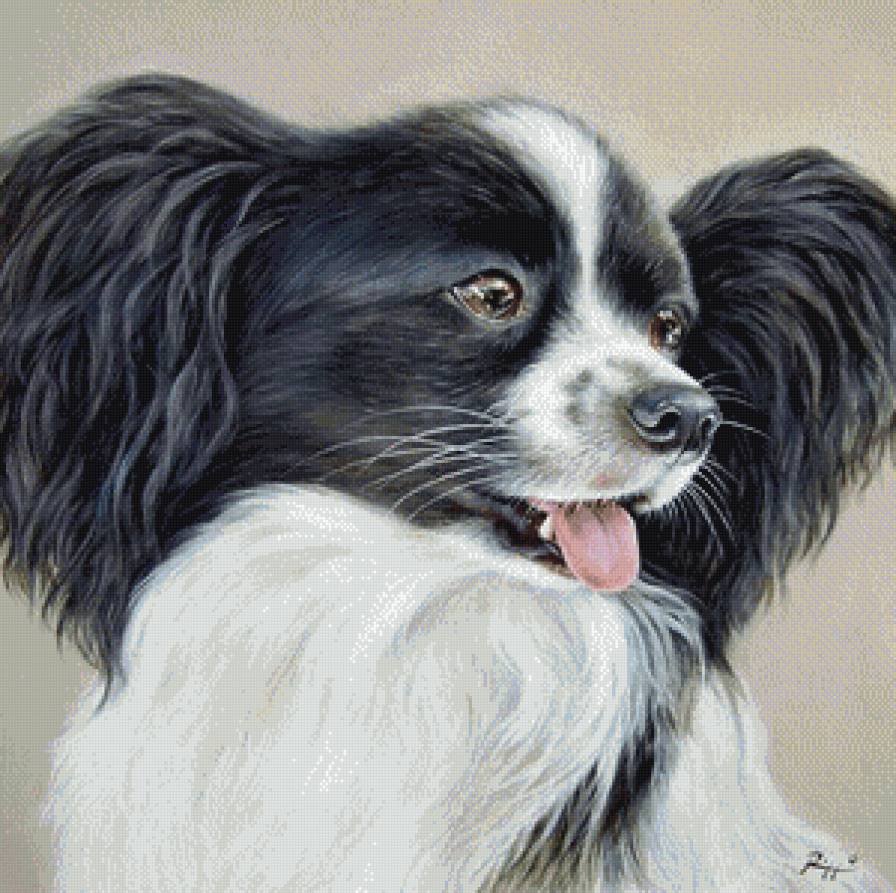 собачка - собака, порода - предпросмотр