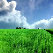 Схема вышивки «Простор»