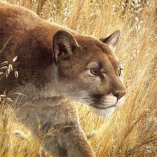 Схема вышивки «Пума»