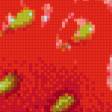 Предпросмотр схемы вышивки «Клубника» (№972582)