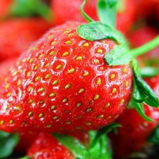 Схема вышивки «Клубника»