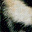 Предпросмотр схемы вышивки «Тигр» (№972583)