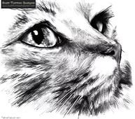 Схема вышивки «№972636»