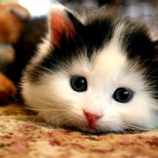 Схема вышивки «№972637»