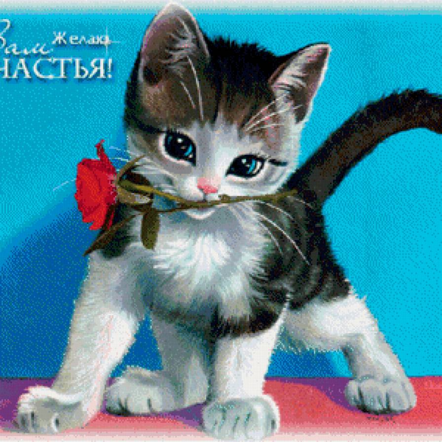 котенок с розой - кот, роза - предпросмотр