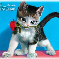 Схема вышивки «котенок с розой»