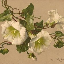 Схема вышивки «№972684»