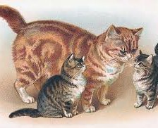 Схема вышивки «№972693»