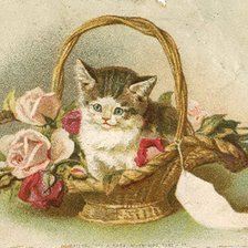 Схема вышивки «№972726»