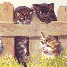 Схема вышивки «№972727»