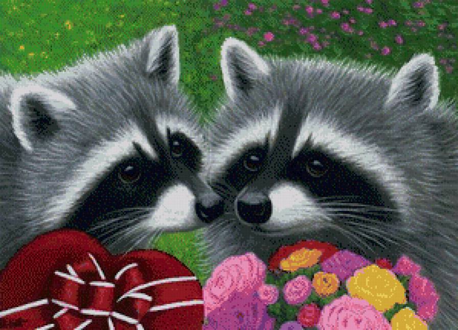 енотики - животные, природа, еноты, цветы, романтика, енот, любовь - предпросмотр