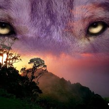 Схема вышивки «56»